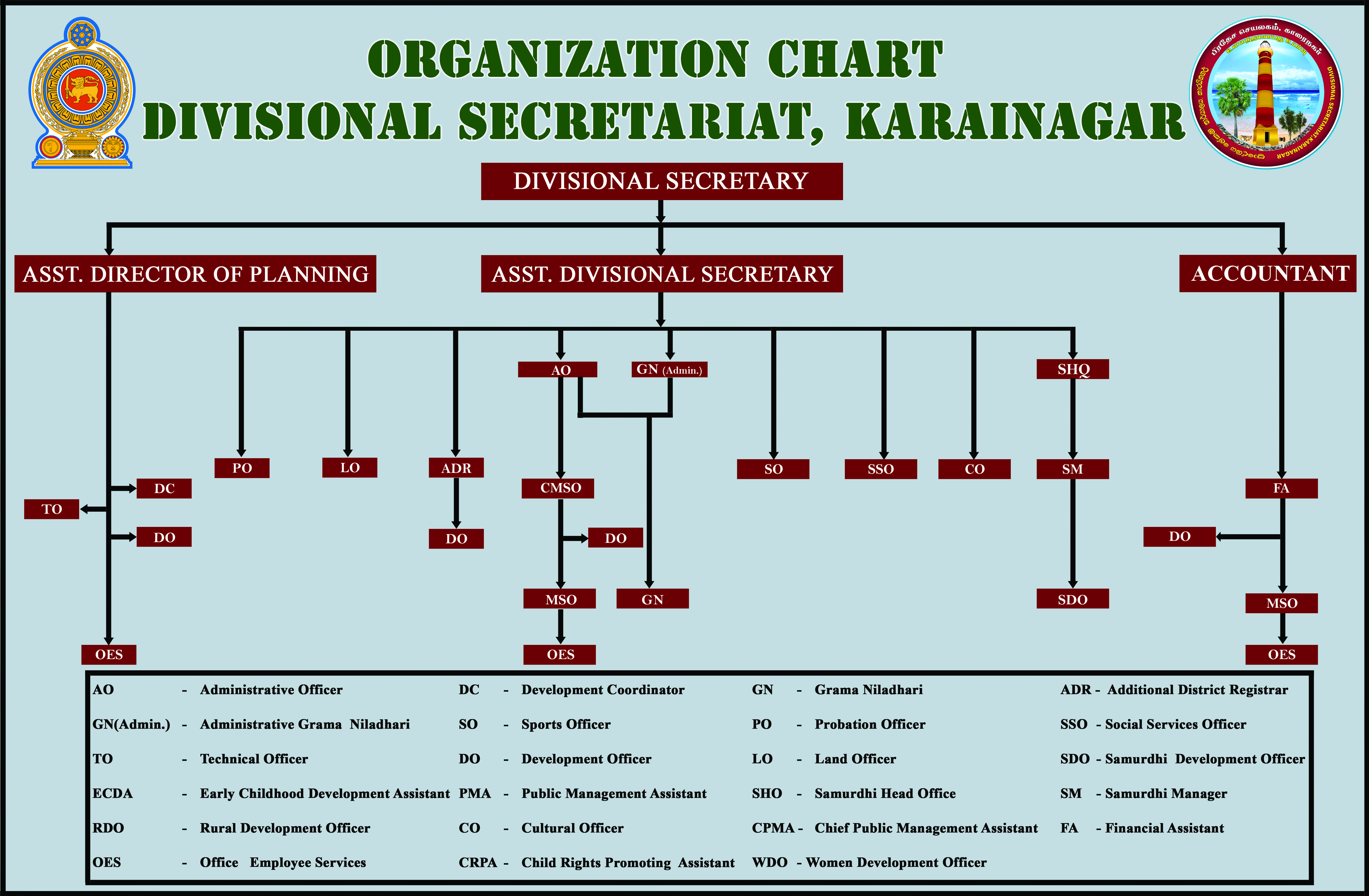 Organization 1