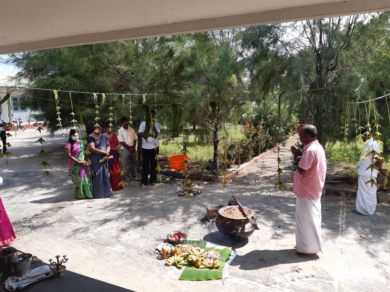 Pongal 7