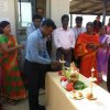 Marketing Festival